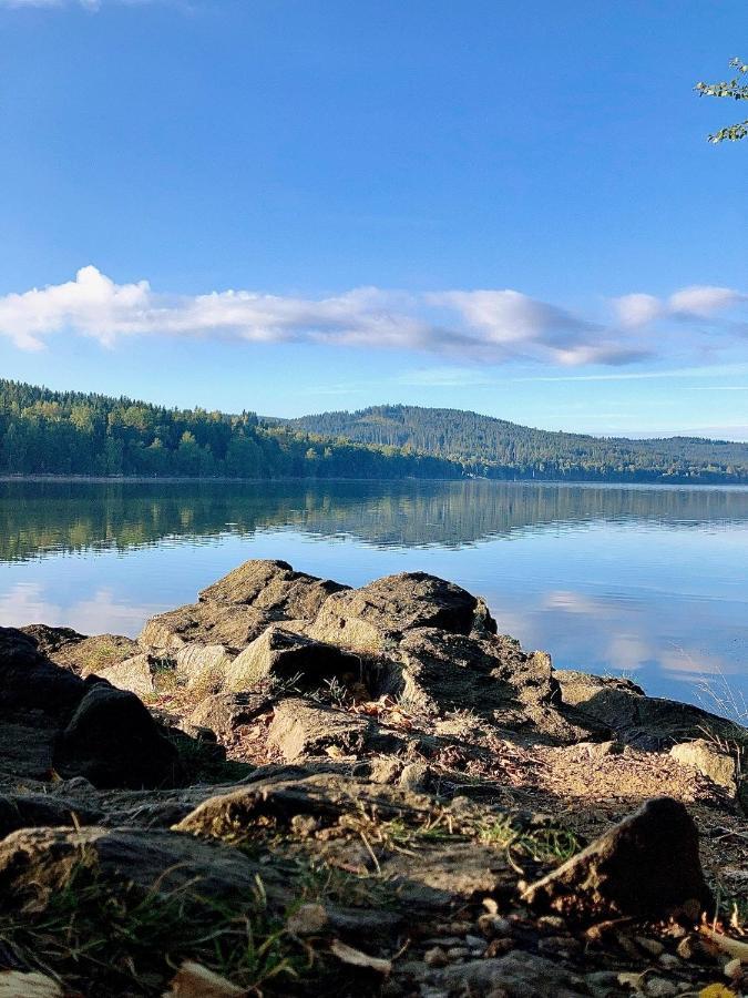 Apartman Riviera 41 Lipno nad Vltavou Exteriör bild